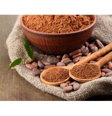Polvo de Cacao Ecológico 500g