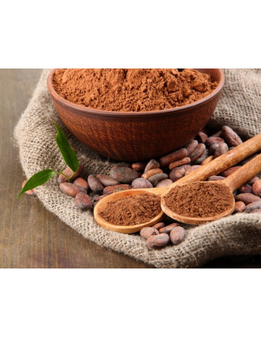 Polvo de Cacao Ecológico 500g