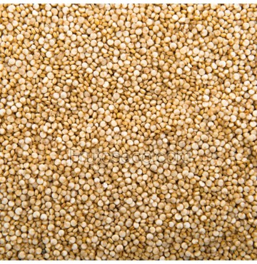 Quinoa Real Blanca 5Kg (FORMATO HOSTELERIA)