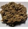 Alcachofera (Infusión de alcachofa), bandeja 50 gramos